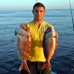 Rodman 1250R Fishing Trips Benalmadena & Fuengirola