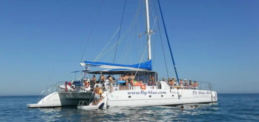 Taiti Catamaran Private Charter Puerto Banus