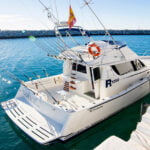 Rodman 1250R Motor Boat Excursions from Puerto Banus