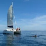 Lagoon 380 Estepona Catamaran charters