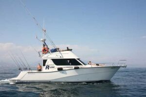 Puerto Banus Deep Sea Fishing Trips