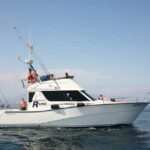 Rodman 1250R Motor Boat Excursions from Puerto Banus